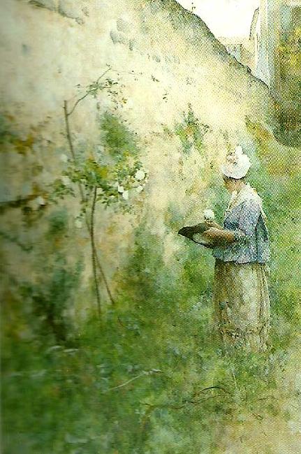 Carl Larsson gamla muren